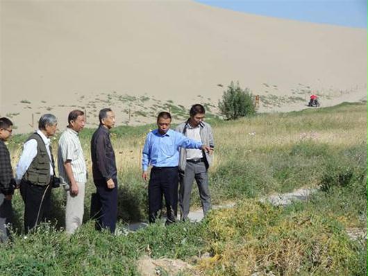 �����л���