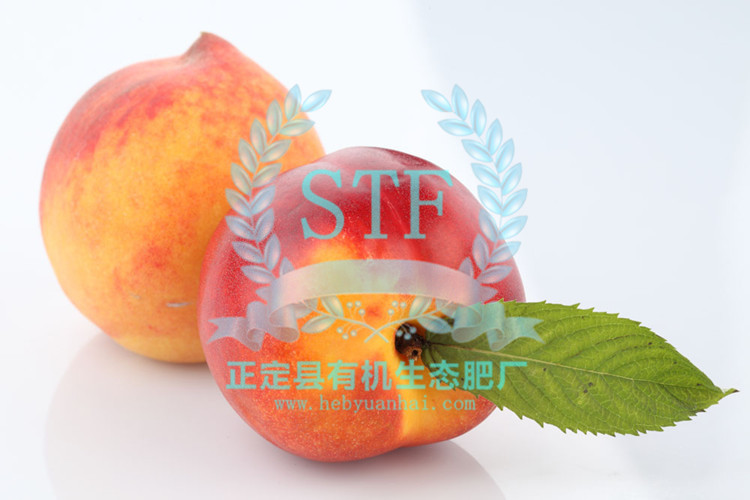 ������ʹ���