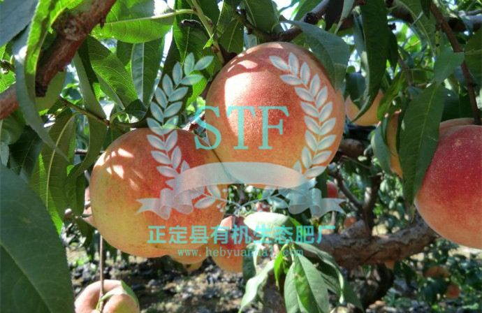 ������ʹ���