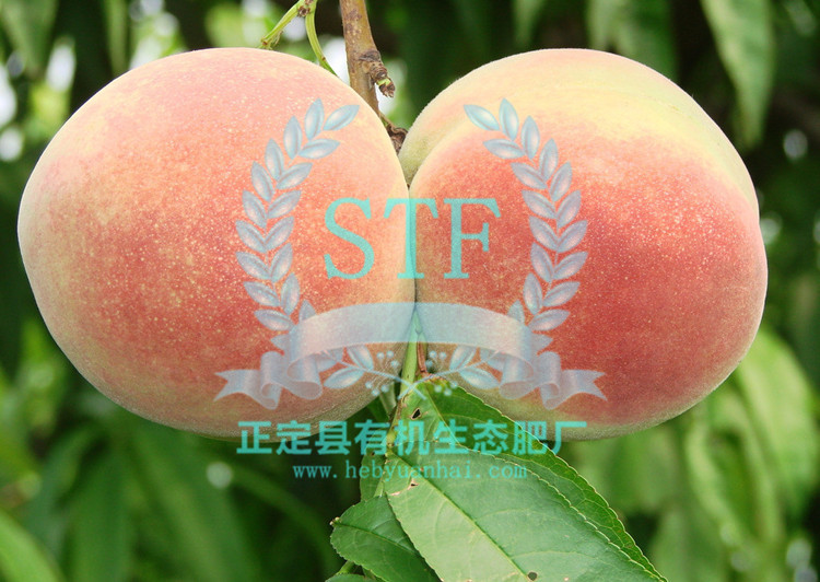 �����л���