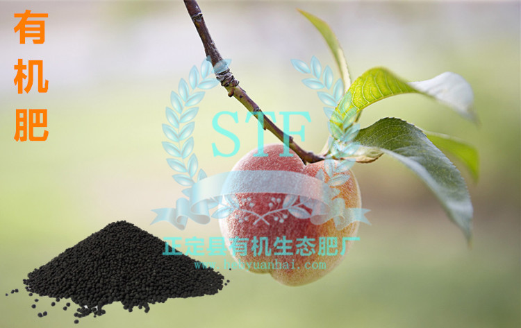 �����л���