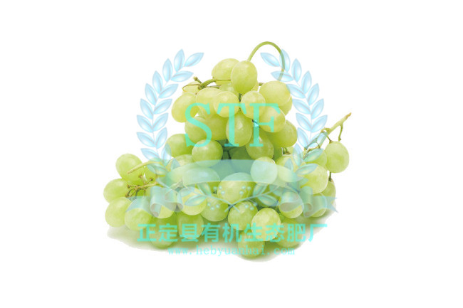 ������ʹ���