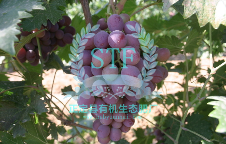 ������ʹ���