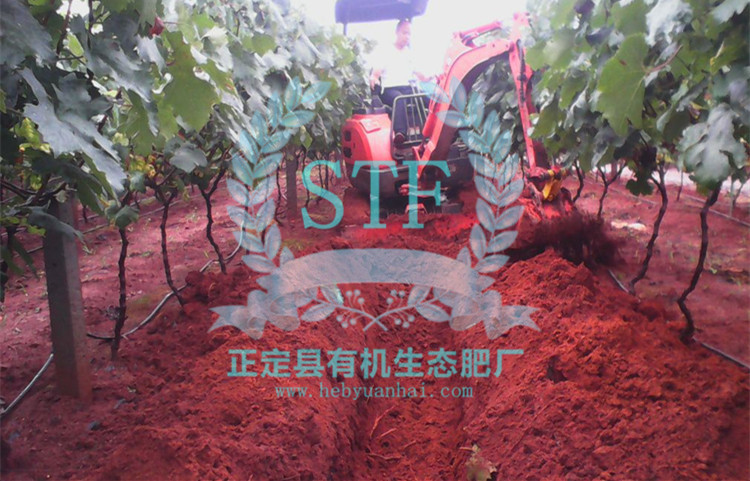 �����л���