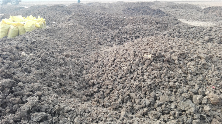 �ɼ��ࣨԭ�ϣ�����