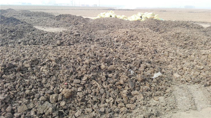 �ɼ��ࣨԭ�ϣ�����