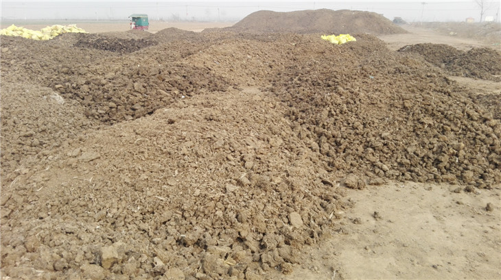 �ɼ��ࣨԭ�ϣ�����