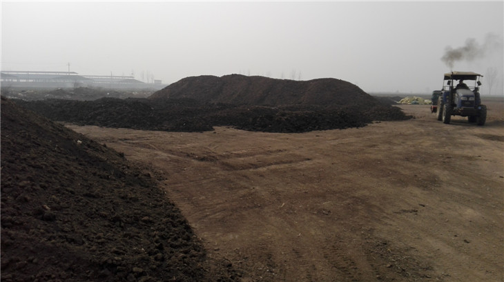 �ɼ��ࣨԭ�ϣ�����