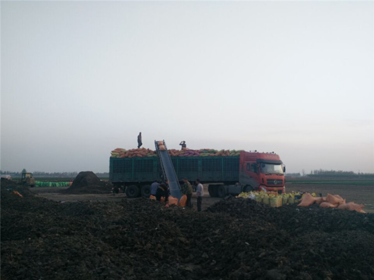 �ɼ��ࣨԭ�ϣ�����