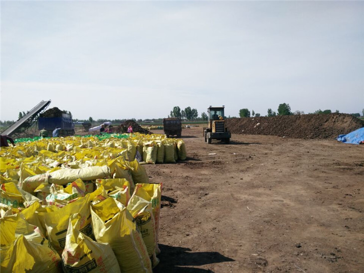 �ɼ��ࣨԭ�ϣ�����