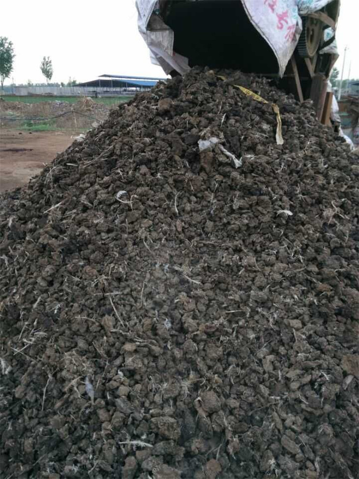 �ɼ��ࣨԭ�ϣ�����