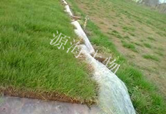 �ҹ�˾��Ӧ��ƺ�̻���Ŀ�÷�