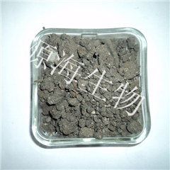 �ɼ������