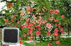 ����ר�÷�