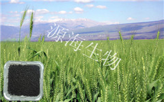 ����ר�÷�